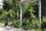 Land for sale in Bang Kao, Phetchaburi