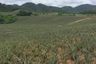 Land for sale in Nong Phlap, Prachuap Khiri Khan