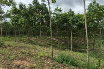 Land for sale in Nong Phlap, Prachuap Khiri Khan