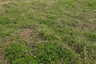 Land for sale in Sirinland, Hua Hin, Prachuap Khiri Khan