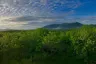 Land for sale in Thep Krasatti, Phuket