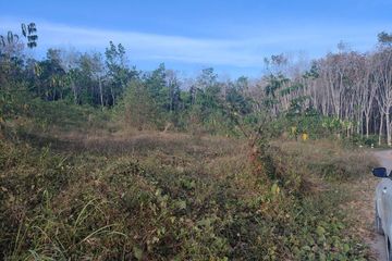 Land for sale in Ao Nang, Krabi