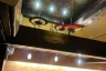 Commercial for rent in Khlong Tan Nuea, Bangkok near BTS Thong Lo