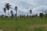 Land for sale in Nong Prue, Chonburi