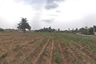 Land for sale in Pong, Chonburi