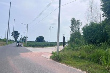 Land for sale in Nong Prue, Chonburi