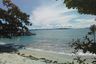 Land for sale in Pa Khlok, Phuket