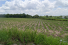 Land for sale in Bang Phra, Chonburi
