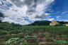 Land for sale in Khao Khan Song, Chonburi