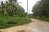 Land for sale in Ko Yao Noi, Phang Nga