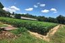 Land for sale in Bang Lamung, Chonburi