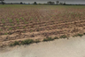 Land for sale in Bo Win, Chonburi