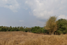Land for sale in Surasak, Chonburi