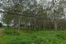 Land for sale in Pa Khlok, Phuket
