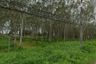 Land for sale in Pa Khlok, Phuket