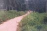Land for sale in Bang Lamung, Chonburi