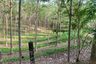 Land for sale in Choeng Thale, Phuket