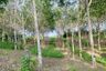 Land for sale in Choeng Thale, Phuket