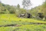 Land for sale in Patong, Phuket
