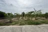 Land for sale in Bang Kachao, Samut Prakan