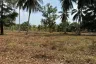 Land for sale in Na Toei, Phang Nga
