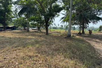 Land for sale in Na Toei, Phang Nga