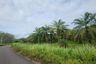 Land for sale in Khok Kloi, Phang Nga