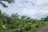 Land for sale in Khok Kloi, Phang Nga