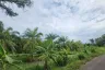Land for sale in Khok Kloi, Phang Nga