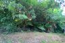 Land for sale in Land Plot Tala in Rawai, Rawai, Phuket