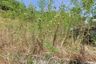 Land for sale in Rawai, Phuket