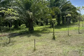 Land for sale in Khok Kloi, Phang Nga