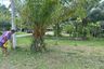 Land for sale in Khok Kloi, Phang Nga