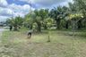 Land for sale in Khok Kloi, Phang Nga