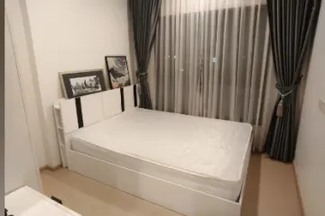 1 Bedroom Condo for rent in The Tree Sukhumvit 71 - Ekamai, Suan Luang, Bangkok near Airport Rail Link Ramkhamhaeng