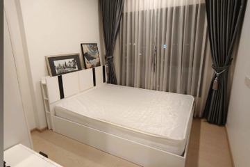 1 Bedroom Condo for rent in The Tree Sukhumvit 71 - Ekamai, Suan Luang, Bangkok near Airport Rail Link Ramkhamhaeng