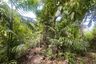 2 Bedroom House for sale in Wichit, Phuket