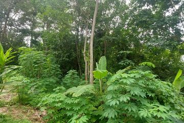 Land for sale in Chalong, Phuket