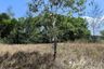 Land for sale in Sakhu, Phuket