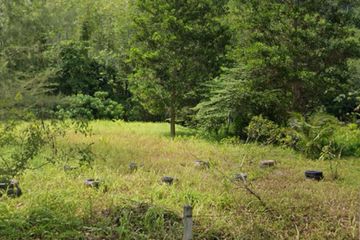 Land for sale in Sakhu, Phuket