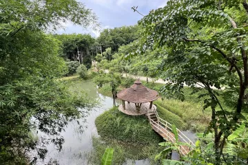 Land for sale in Ko Yao Noi, Phang Nga