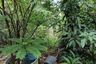Land for sale in Bukkhalo, Bangkok near BTS Talat Phlu