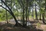 Land for sale in Sakhu, Phuket