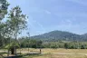 Land for sale in Pa Khlok, Phuket