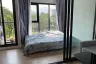 Condo for rent in Modiz Sukhumvit 50, Phra Khanong, Bangkok near BTS On Nut