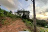 Land for sale in Karon, Phuket