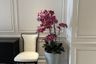 2 Bedroom Condo for rent in The Oleander, Khlong Toei Nuea, Bangkok near BTS Nana