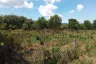 Land for sale in Thep Krasatti, Phuket