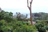 Land for sale in Kamala, Phuket