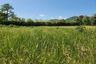 Land for sale in Pa Khlok, Phuket